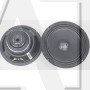 Эстрадная акустика FSD audio MASTER 165N